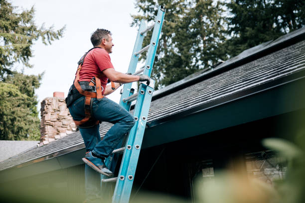 Best Metal Roofing Installation  in Nixa, MO